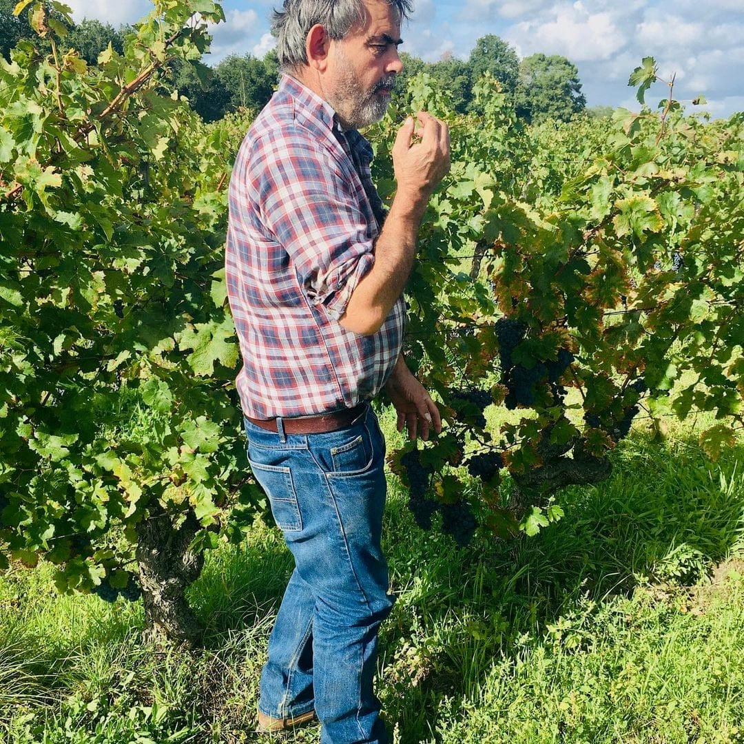  luc sébille - les débonaires - let it bib - cubi bio - bib bio - cabernet franc - vin nature - sans sulfite - 8 