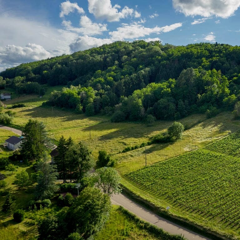  maison de rose - désiré et dominique grand - côtes-du-jura - let it bib - bib bio - bib nature - cubi bio - cubi nature - vin nature - 3 