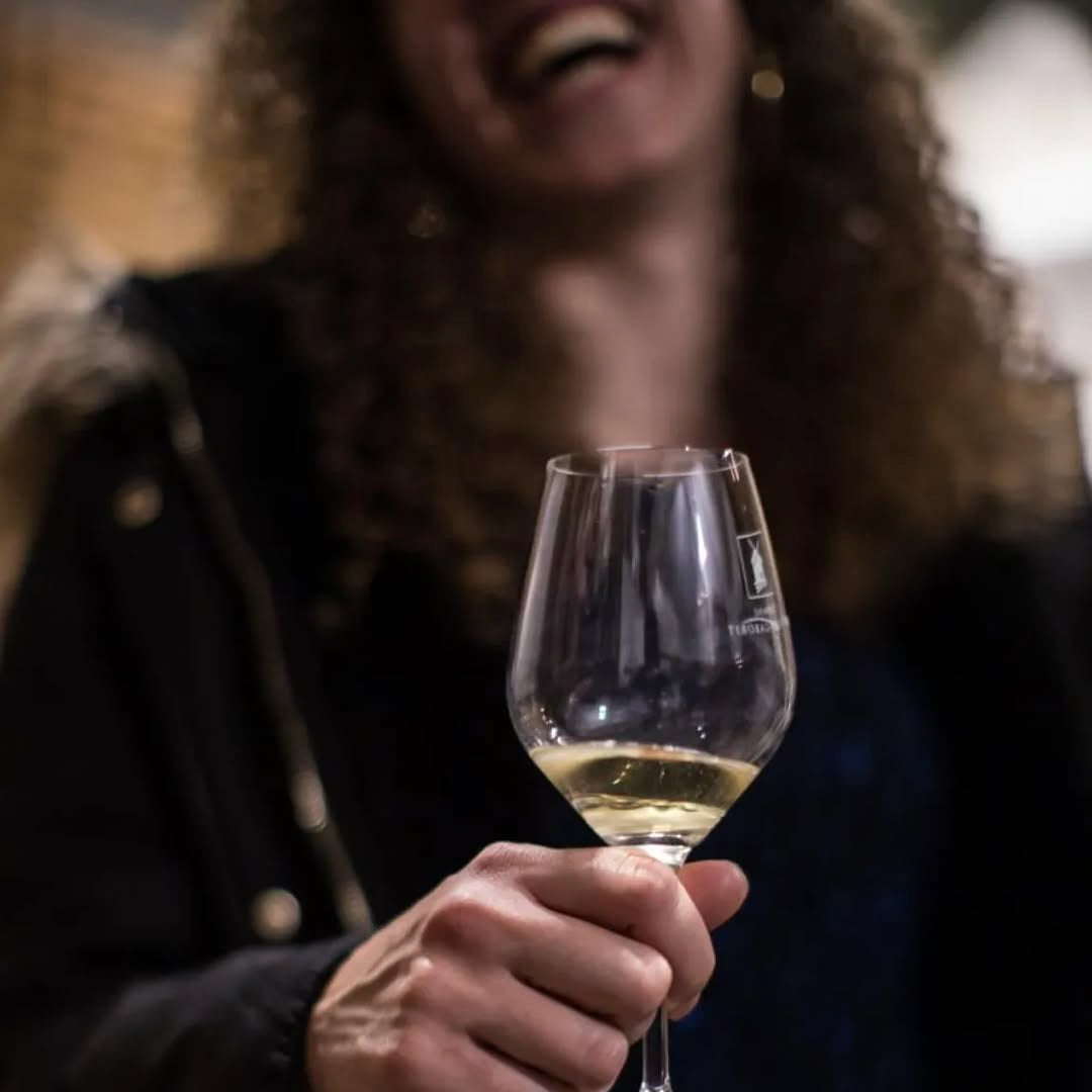 Muscadet 2024 (AOC)