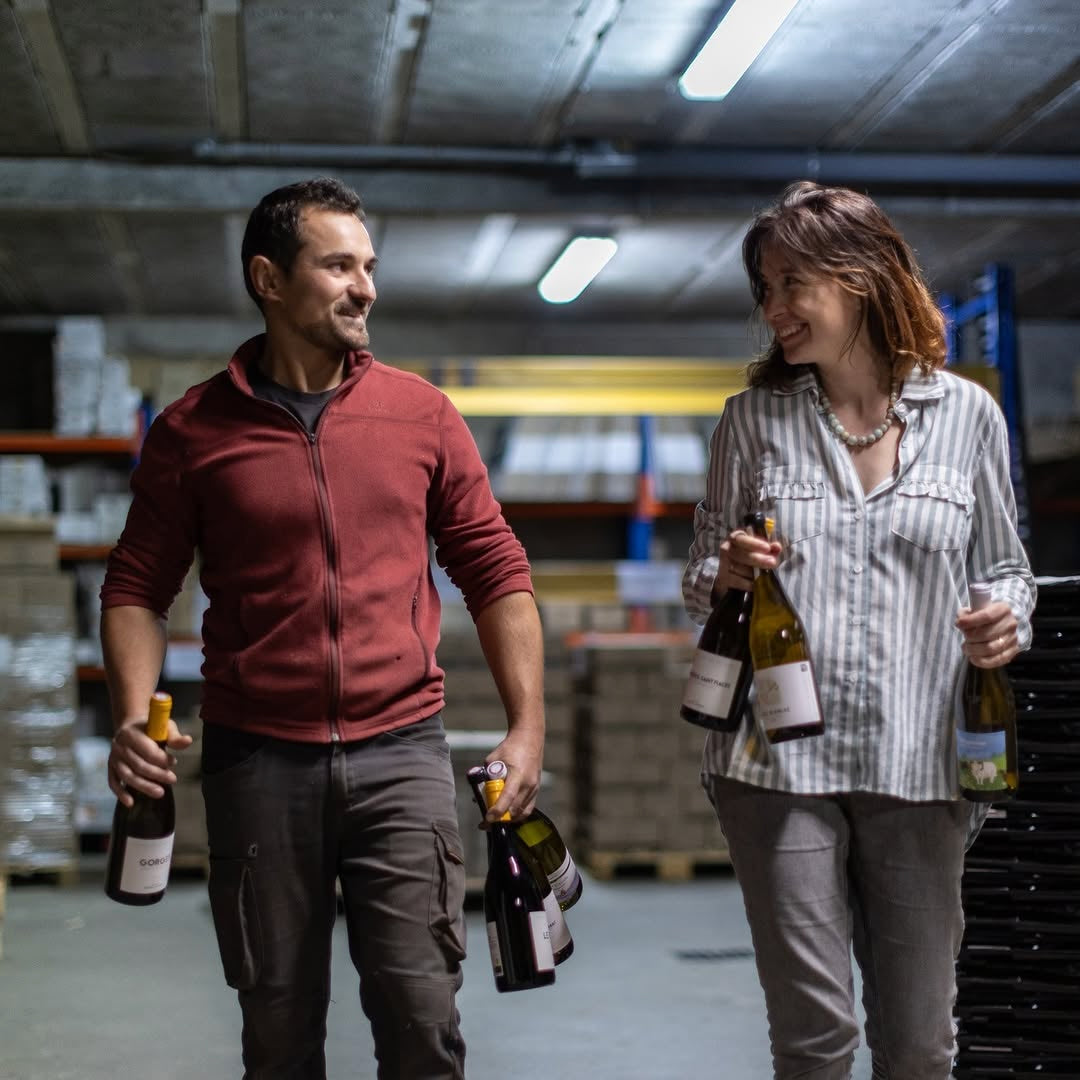 Muscadet 2024 (AOC)