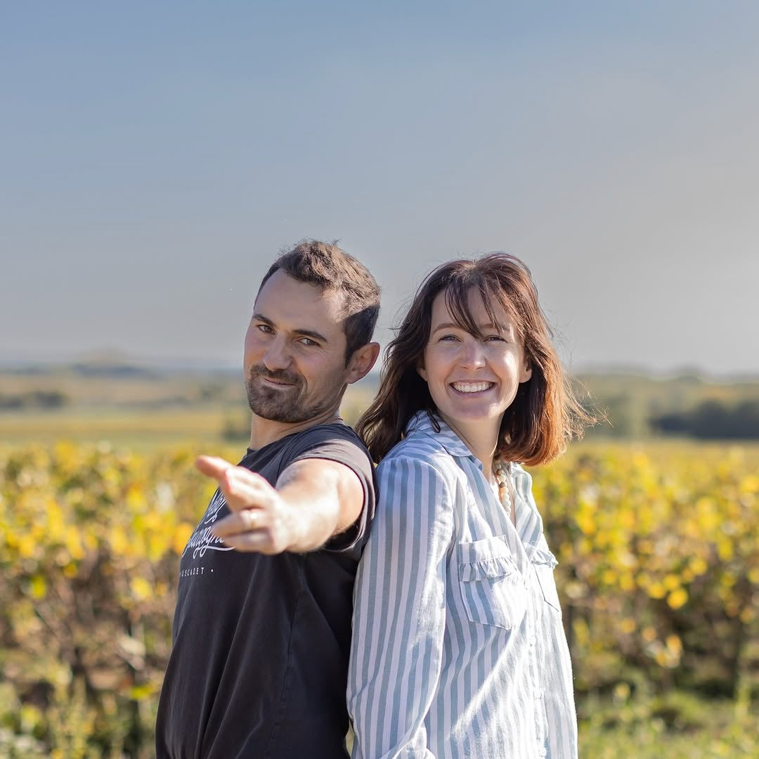 Muscadet 2024 (AOC)