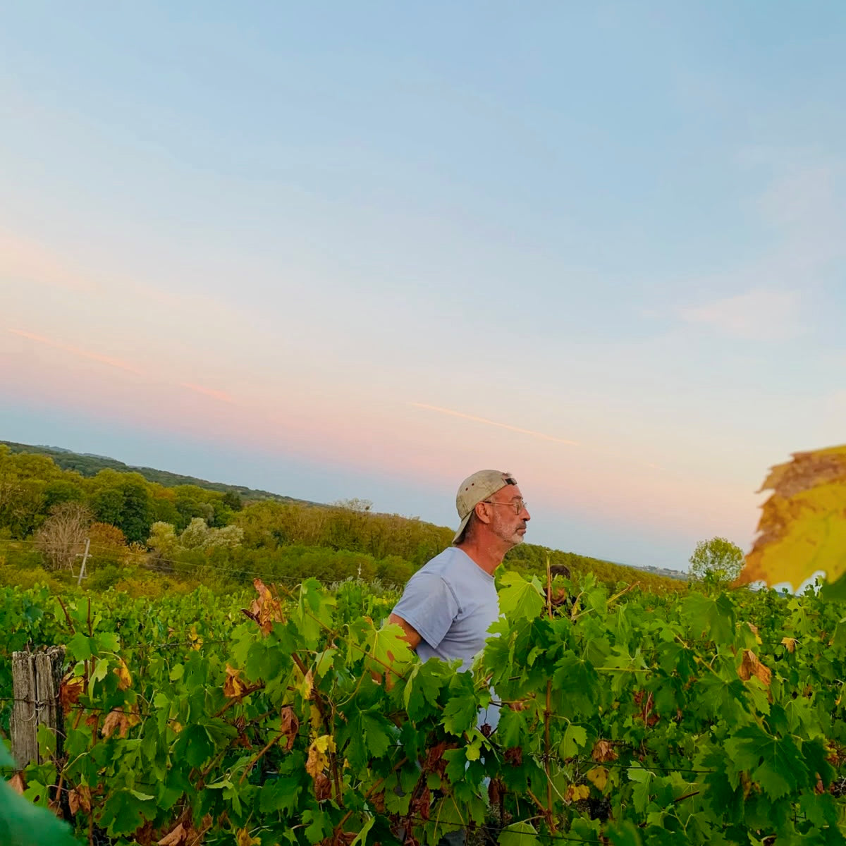 Back to the nature 2025 (Vin de France)