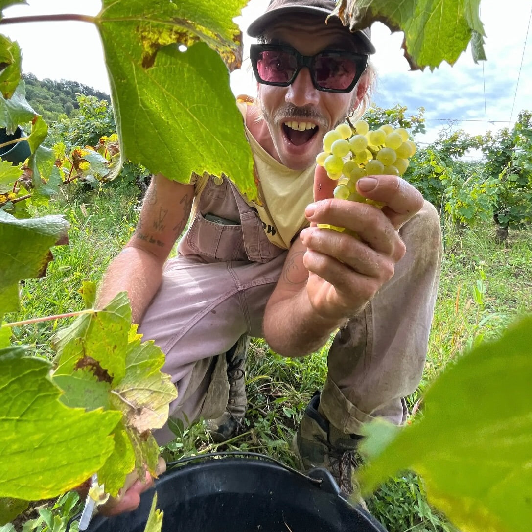 Back to Nature 2025 (Vin de France)