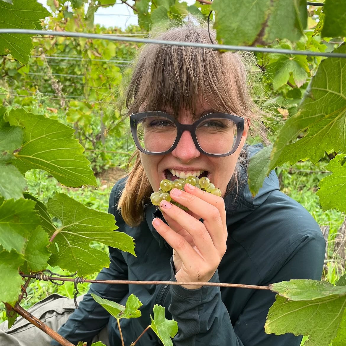 Back to Nature 2025 (Vin de France)