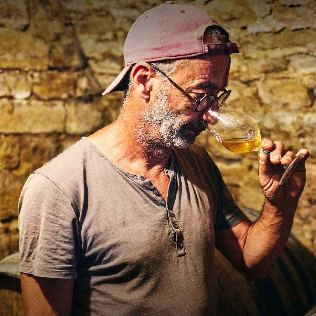 Jaja 2025 (AOC Côtes-du-Jura)