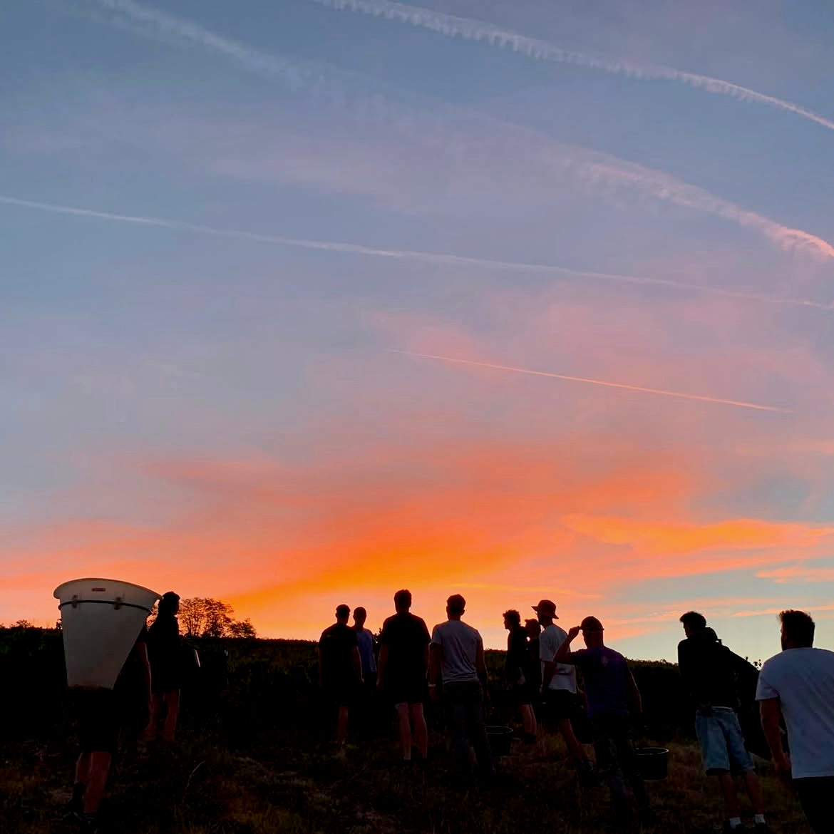 Merci 2025 (Côtes-du-Jura)