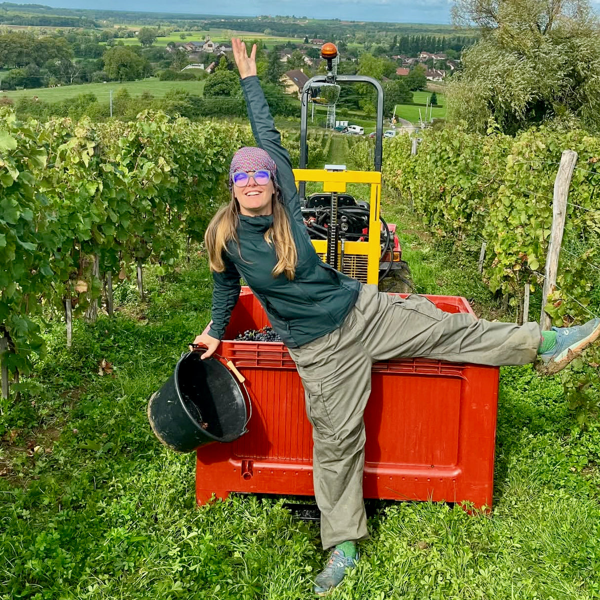 Merci 2025 (Côtes-du-Jura)