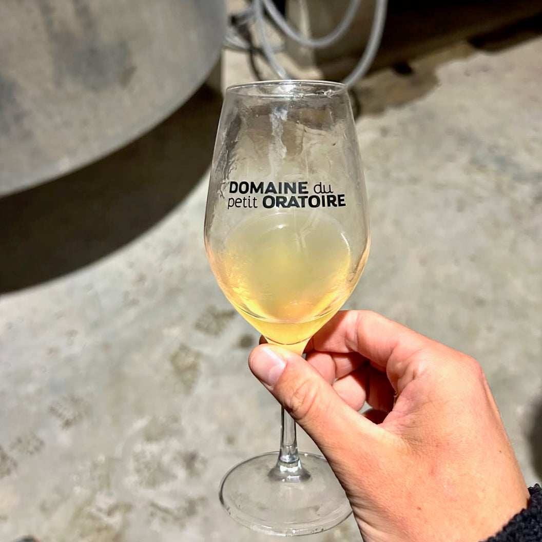 Jajatoès 2025 (Vin de France)