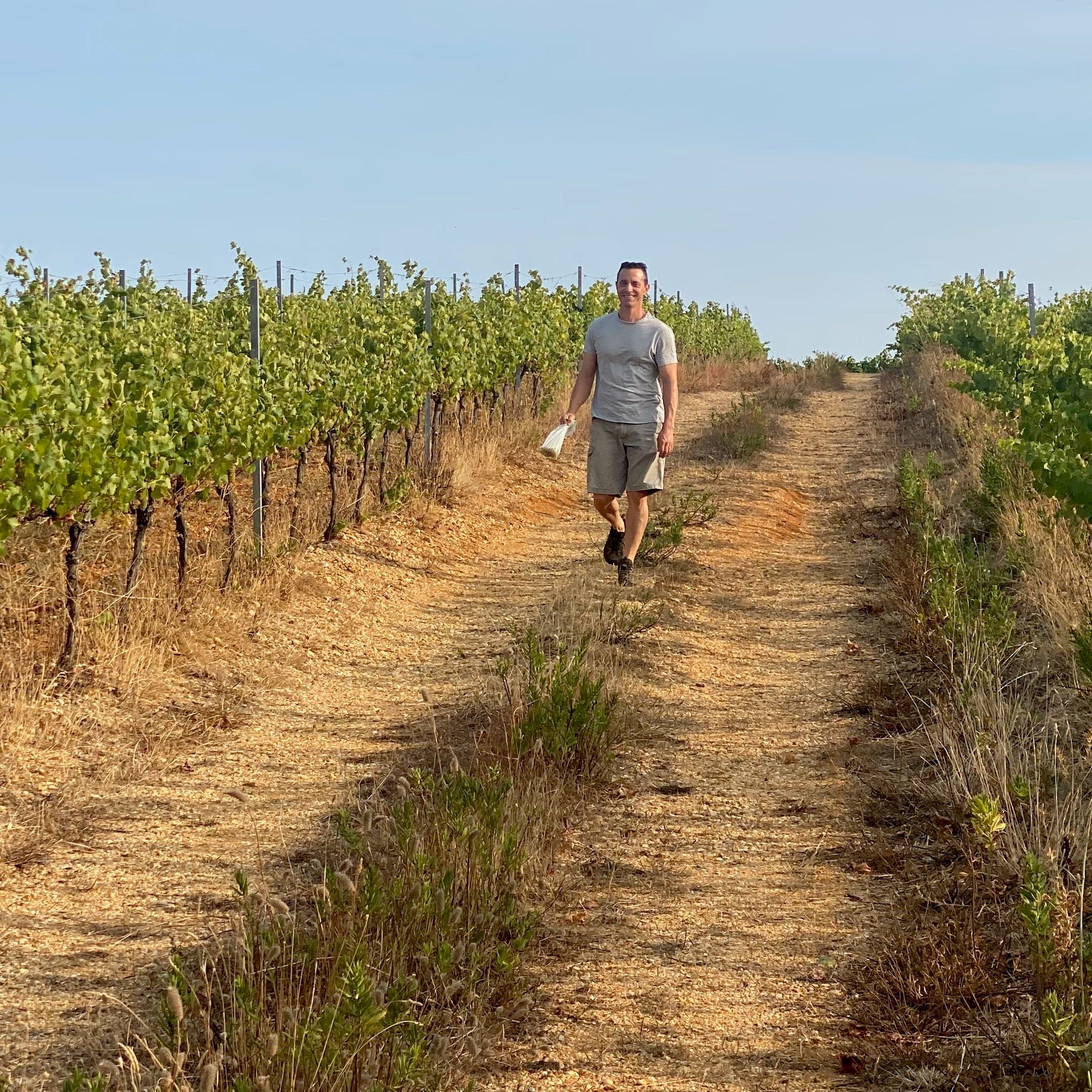  vin orange - le grangeot - xavier fenoy - languedoc - orange dream - let it bib - cubi bio - bib bio - cubi nature - bib nature - vin nature - 3 